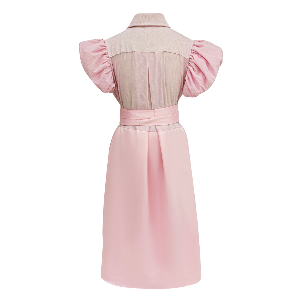 Central park Taylor medium Pink Dress (7074011414551)