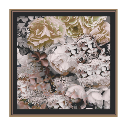 BECOMING PLATINUM ROSE