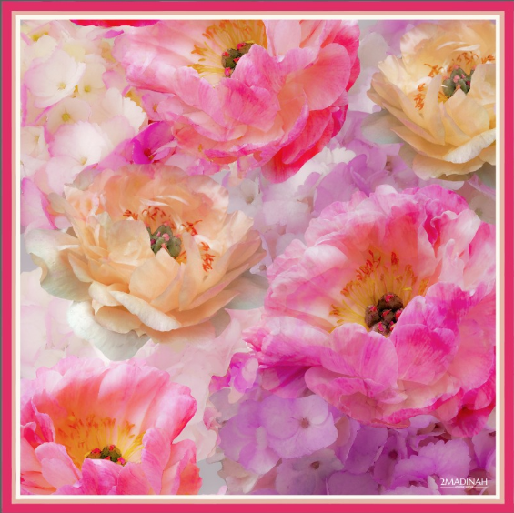 BECOMING MORNING ROSE