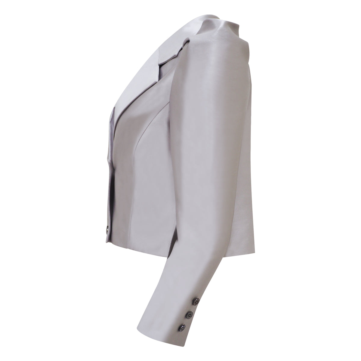 Agnez Cropped Silver Jacket With Floy Crv (6934279356439)