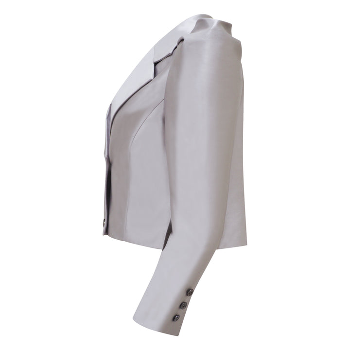Agnez Cropped Silver Jacket With Floy Crv (6934279356439)