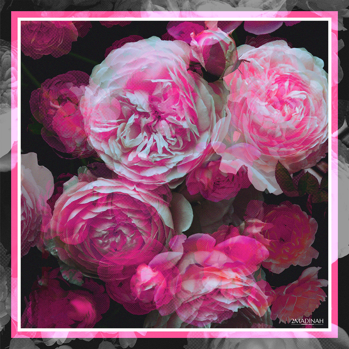 Becoming Night Rose Hijab Pink Scarf - 2MADISONAVENUE.COM