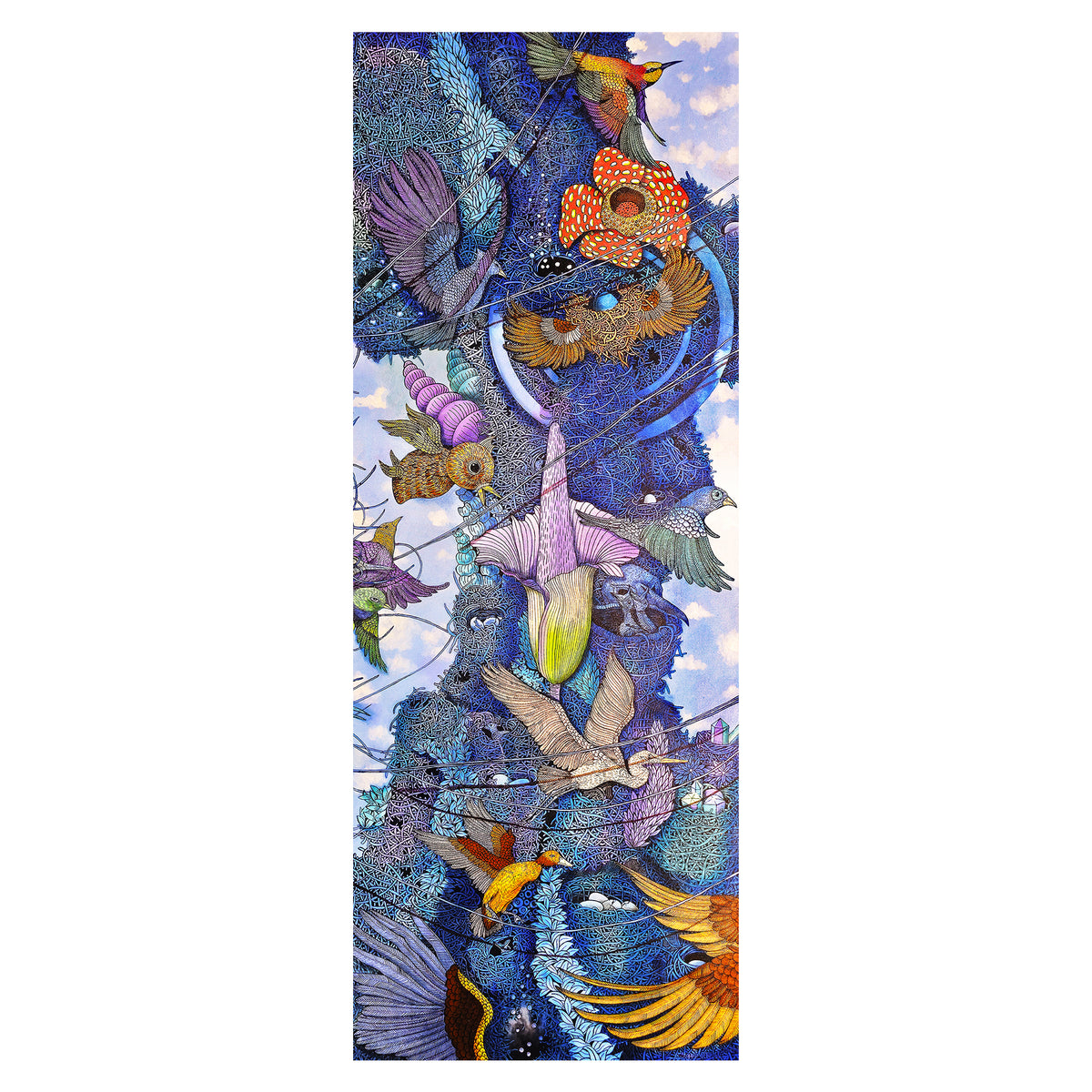 SOF pashmina scarf